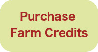 purchase_credits_img